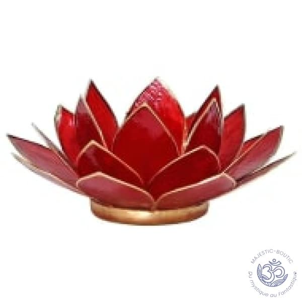 bourgeoir fleur de lotus chakra racine