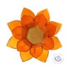 fleur de lotus orange or