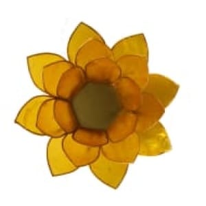fleur de lotus jaune or